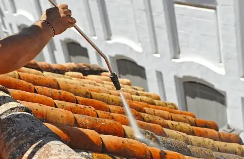Nettoyage de toitures - Saint-Christophe-en-Bazelle